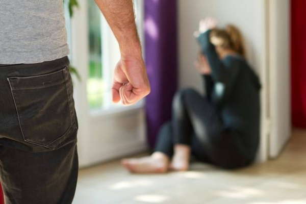 Domáce násilie, jeho podoby a príčiny